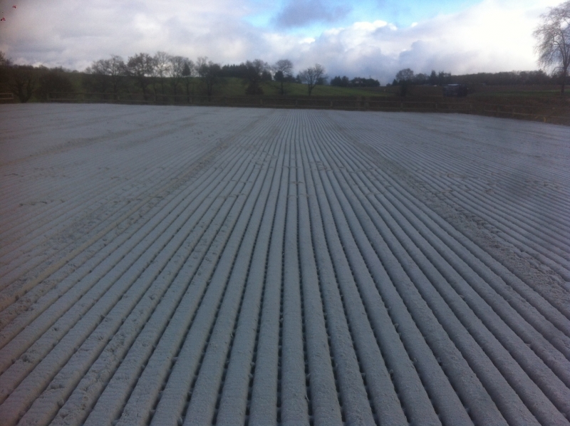 centre equestre auch sable blanc